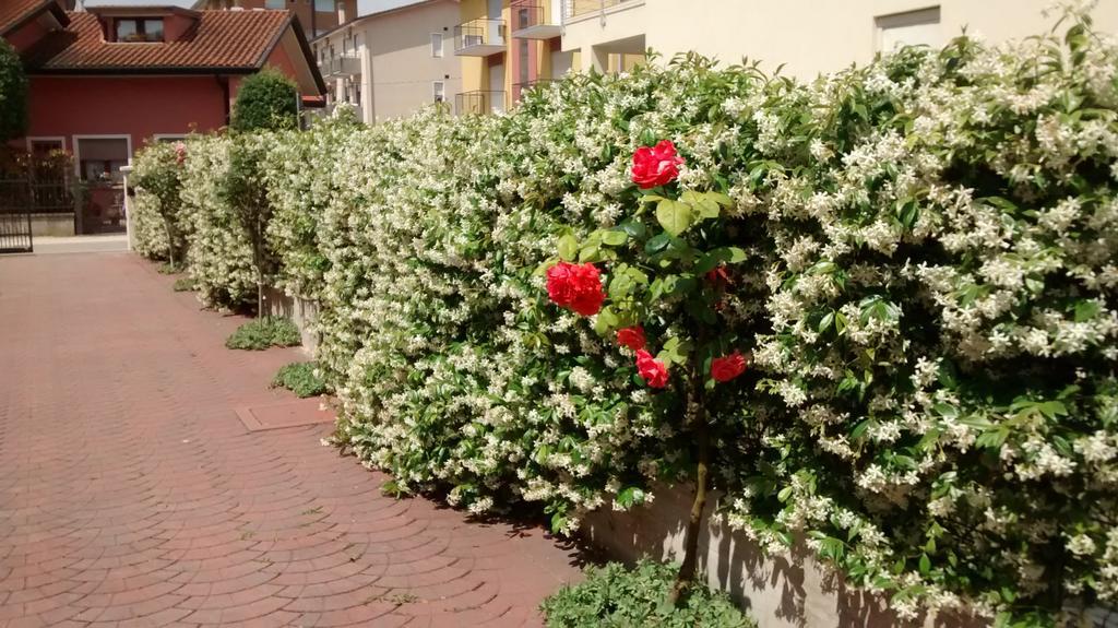 Appartamenti Bedin, Jesolo Eksteriør bilde